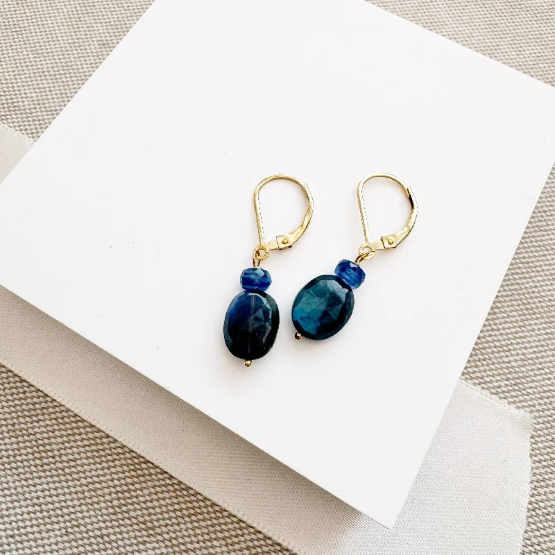 contemporary earrings for women -Huron Earrings